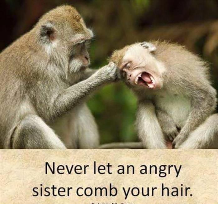 1b7b9369f4d6148c5abf0a8cf762f72e.jpg