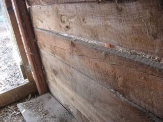 chickencoop007.jpg