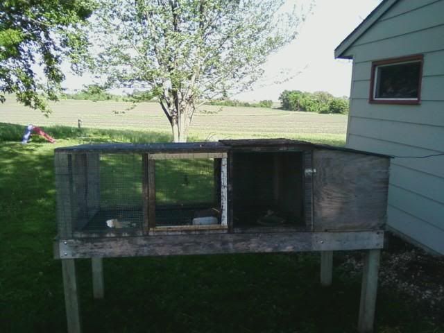 duckhutch2.jpg