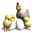 gif131.gif