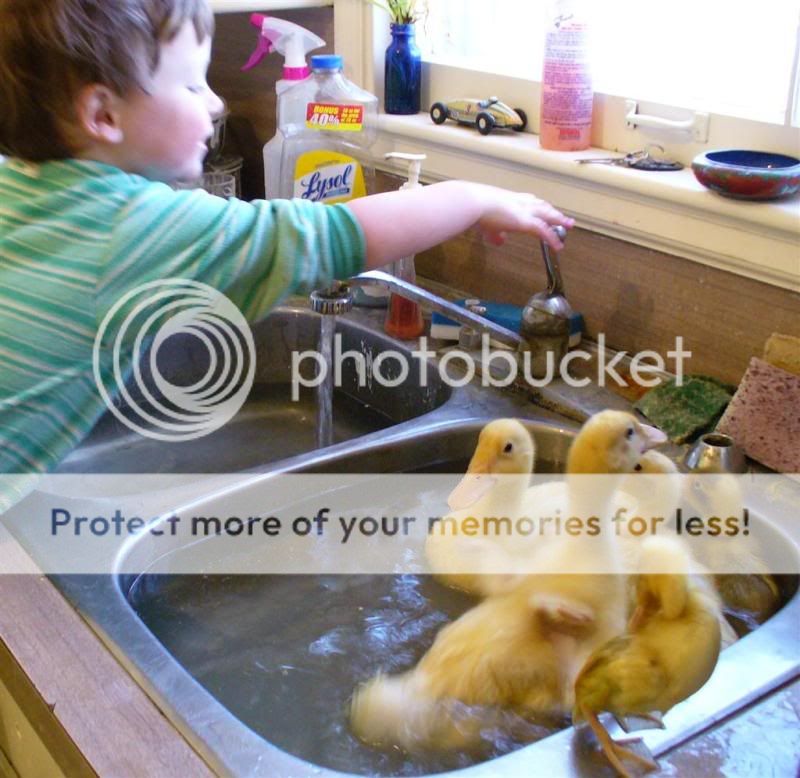 bathtime2Large.jpg