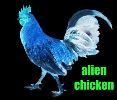 alienchicken.jpg