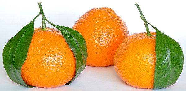 Oranges.jpg