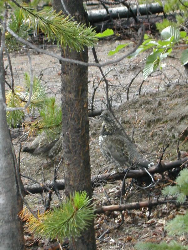 DSCN4879.jpg