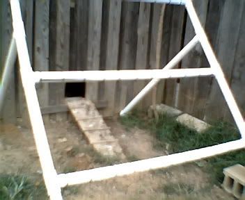 chickenroost003-1.jpg