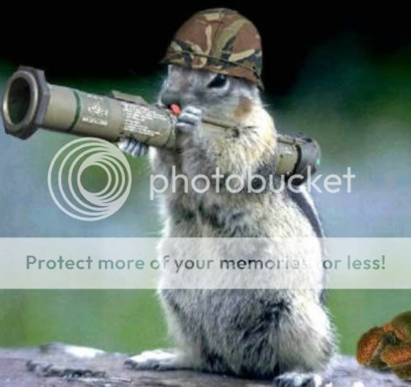 squirrel05.jpg