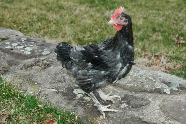 DSC_2695.jpg