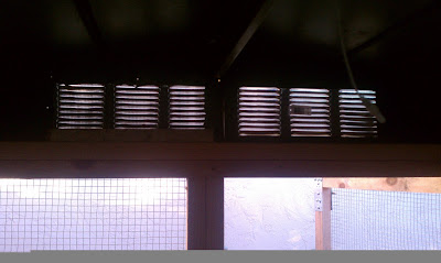IMAG0821.jpg