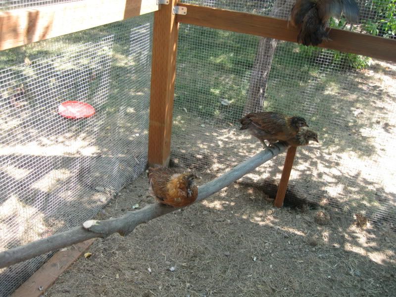July27th2011017.jpg