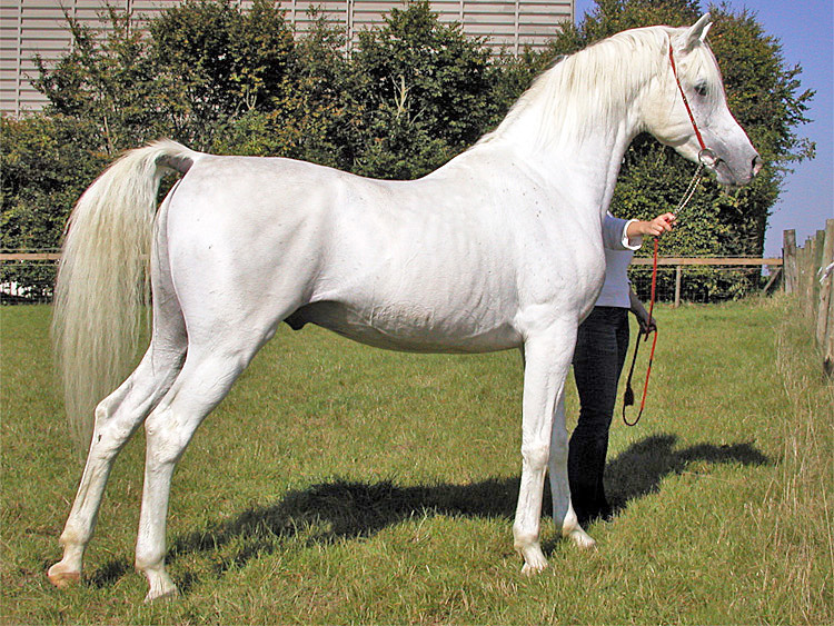 LaMirage_body07.jpg