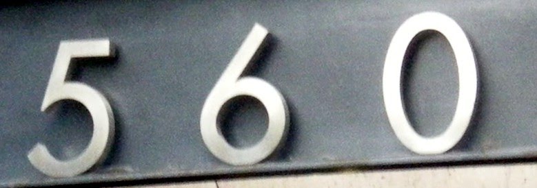 n0560.jpg
