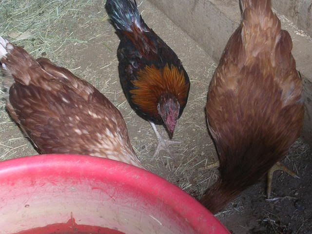 DSCN1863.jpg