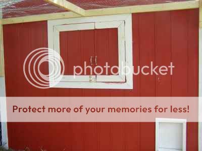 chicken_coop007.jpg