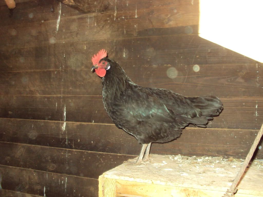 DSC00745.jpg