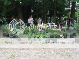 IMG_2134.jpg