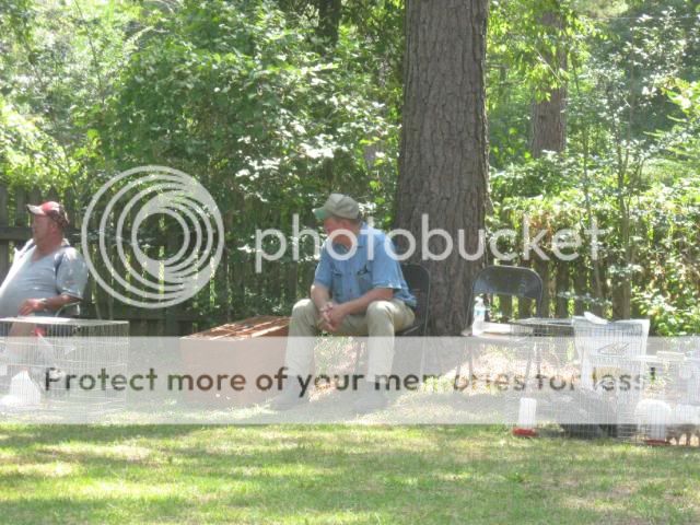 IMG_3104.jpg