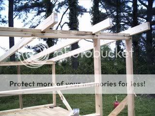 Picture6721.jpg