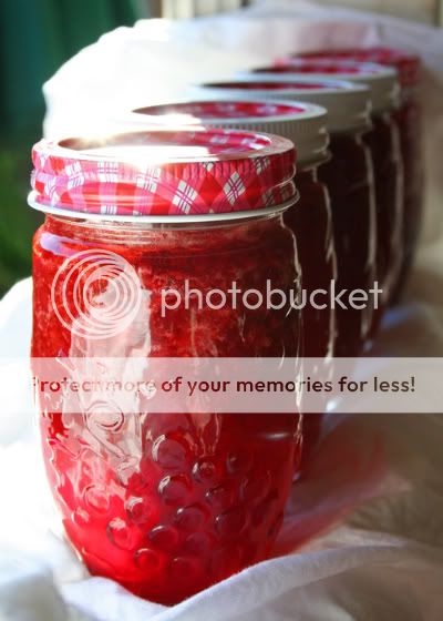 strawberries_4-1.jpg