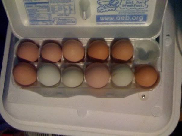 00egg3.jpg