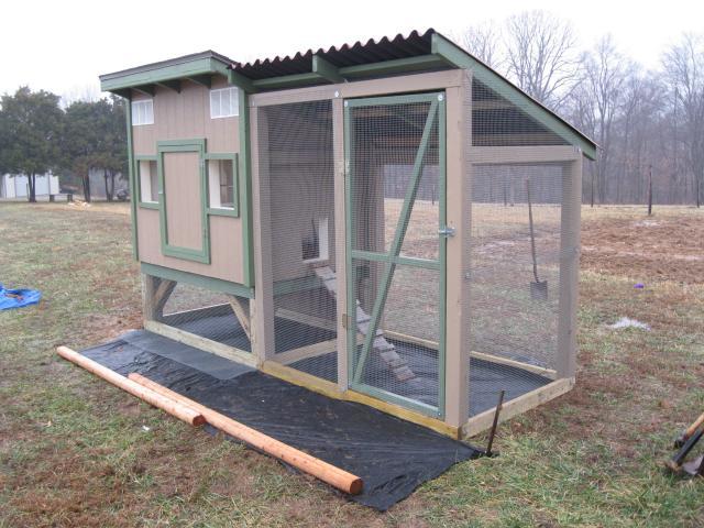 900x900px-LL-ab39382d_37862_feb_28_043.jpeg