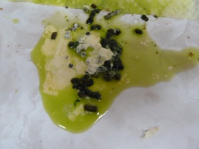 P1020889.jpg