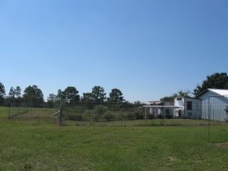 IMG_2432.jpg