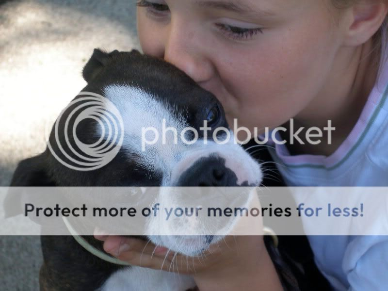 doggies018.jpg