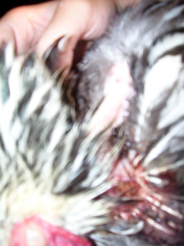 100_1624.jpg