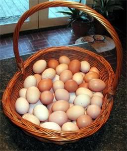 MissPrissyseggbasket.jpg