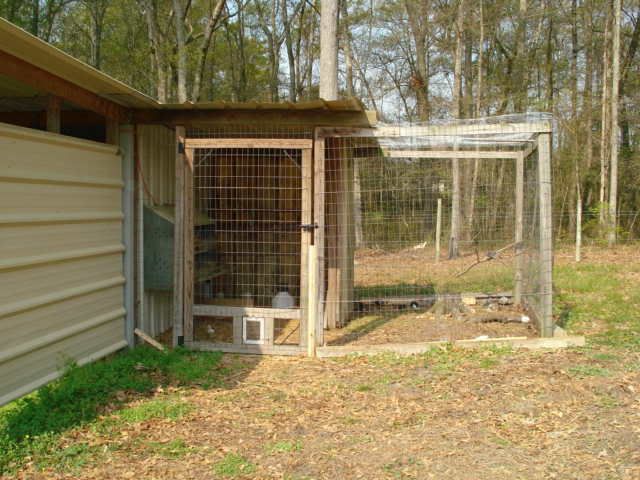 farm081.jpg