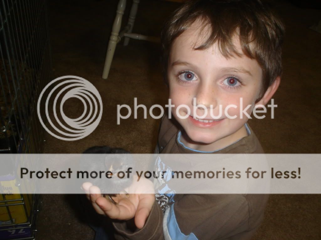 Kidswithchickens006.jpg