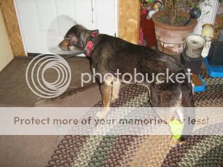 IMG_2042.jpg
