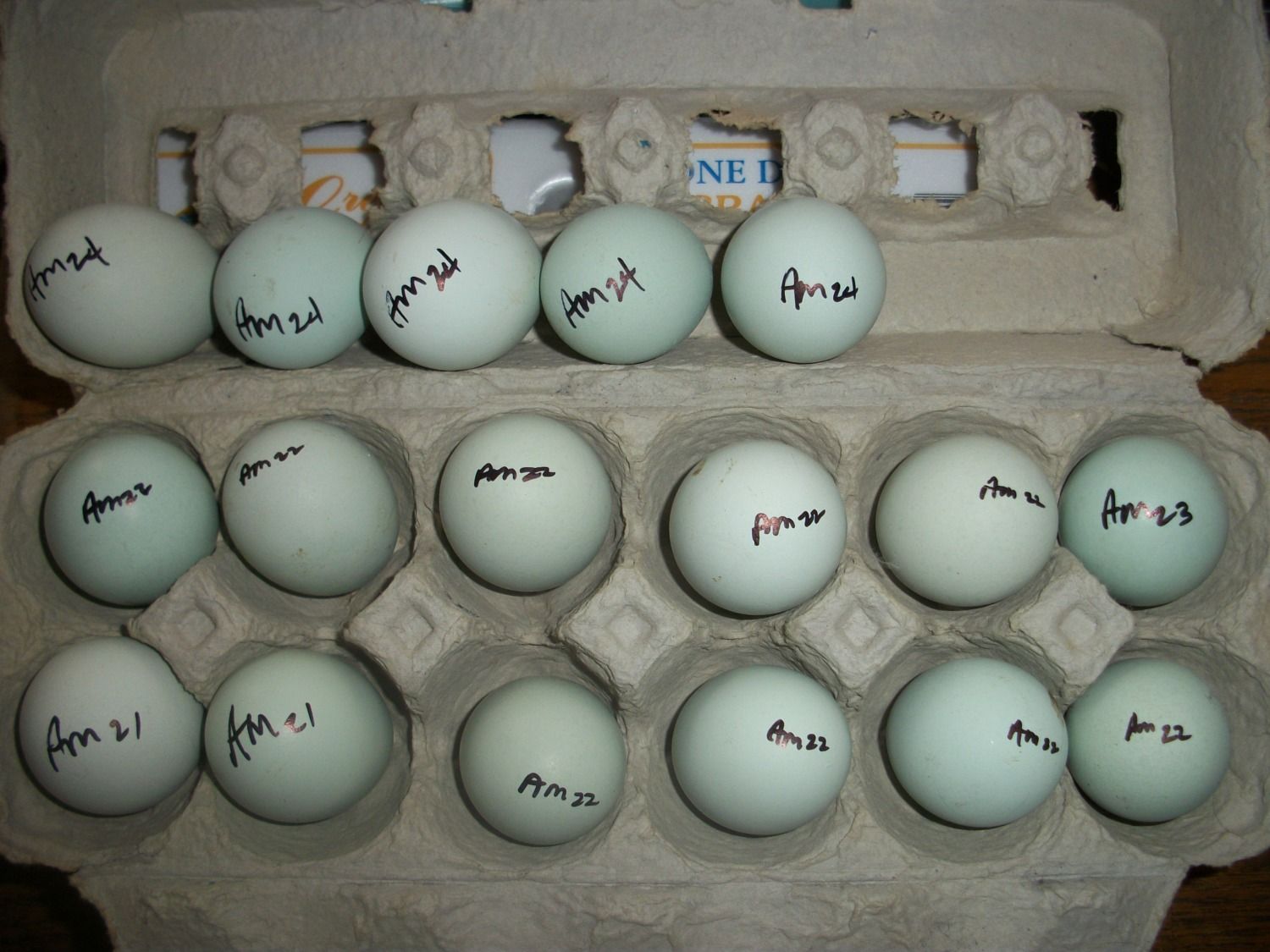 857f30d2_Ameraucanaeggs32414.jpeg