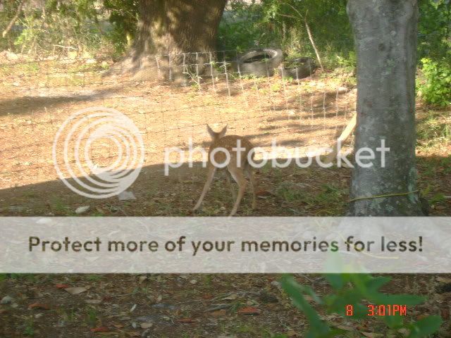 DSC00872.jpg