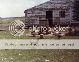 12-27-2008-17-23-15-781.jpg