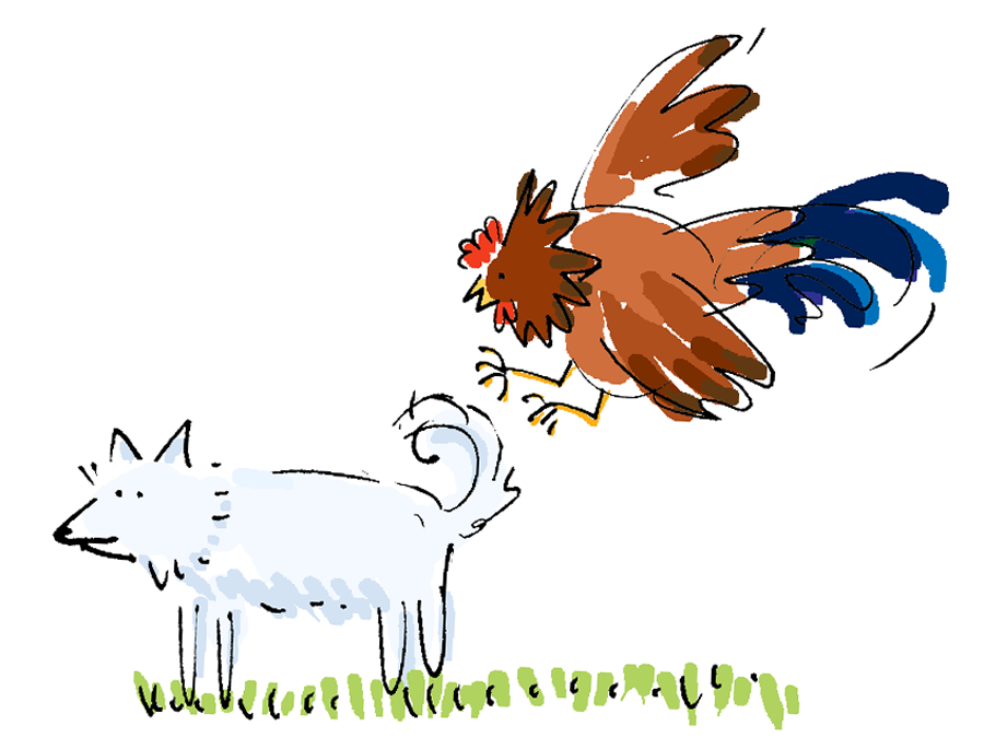 attack.png