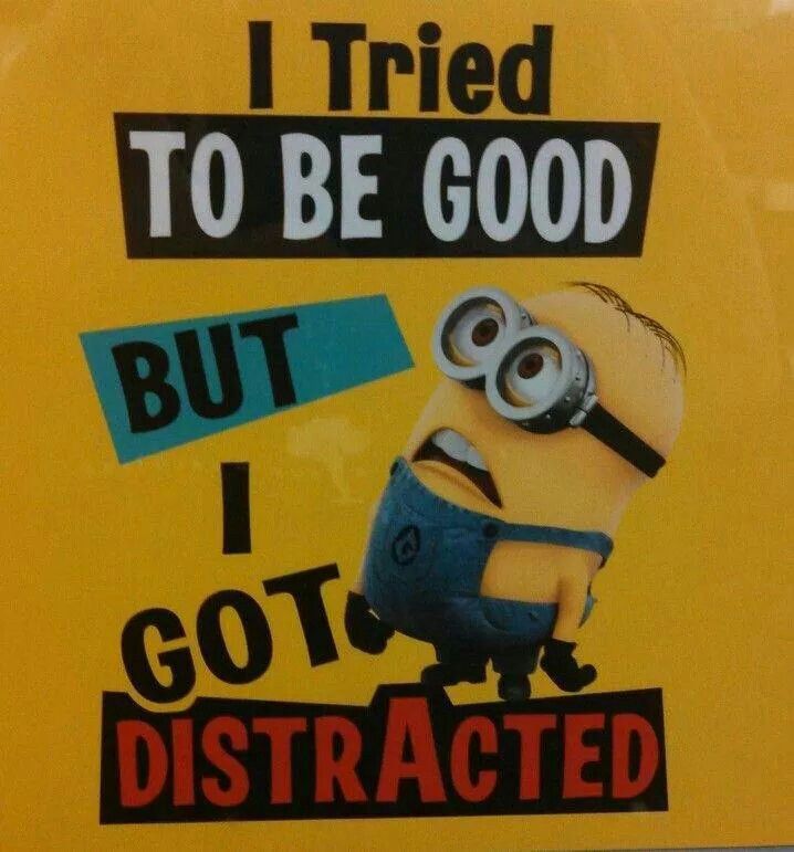 8562a4406012509f32402814672fb727.jpg