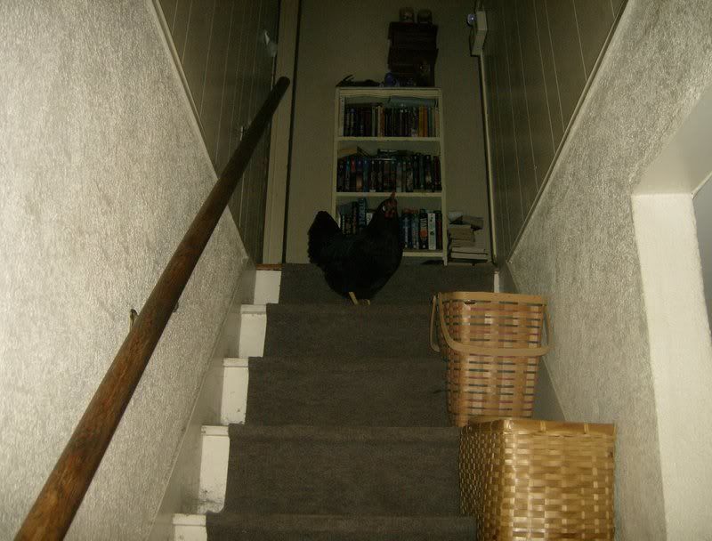 HPIM0207.jpg