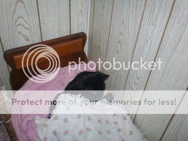 Zoepics2024.jpg
