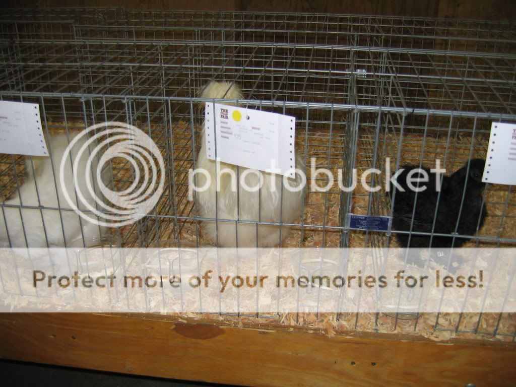 IMG_1051.jpg