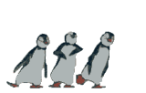 thanim91pengwins.gif