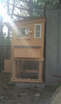 IMAG0349.jpg