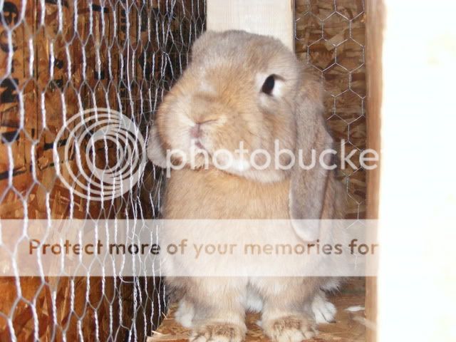 Picture034.jpg
