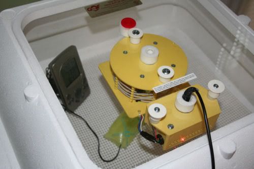 bator4.jpg