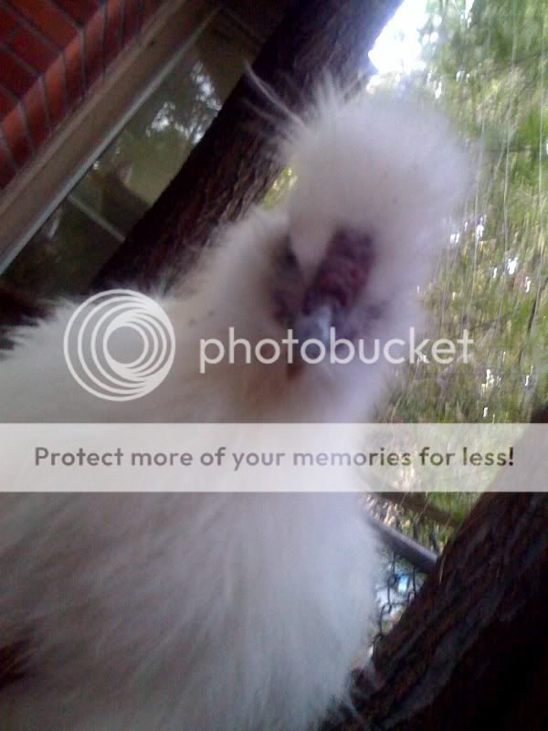 photo7.jpg
