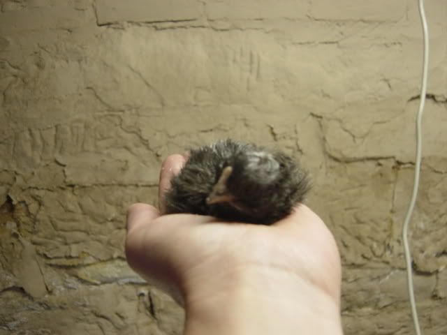 DSC03501.jpg