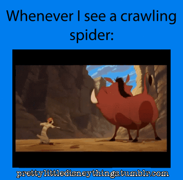 tumblr_mldpbzPCEU1sn5jf6o1_400.gif