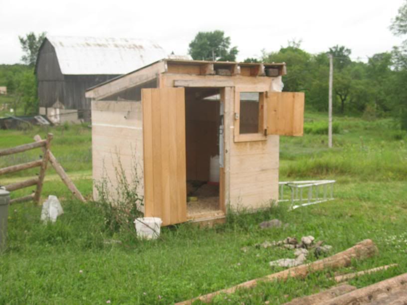 chickenshedbefore.jpg
