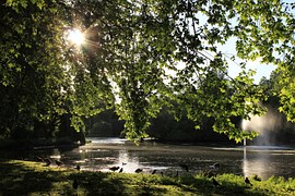 lake-362460__180.jpg