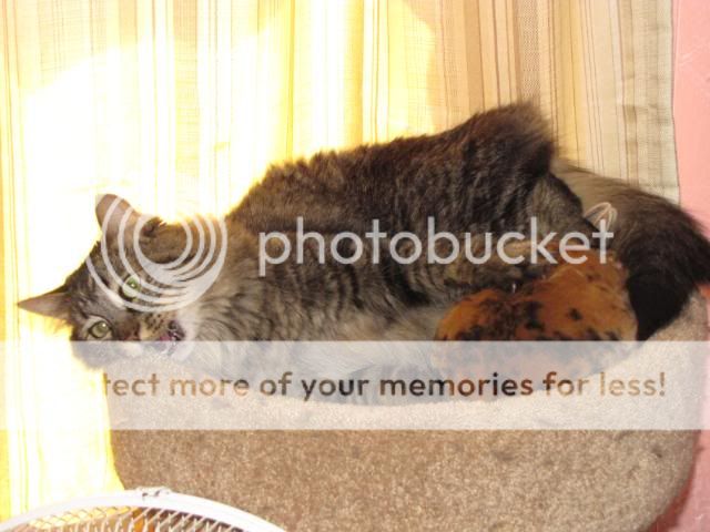 52010046.jpg